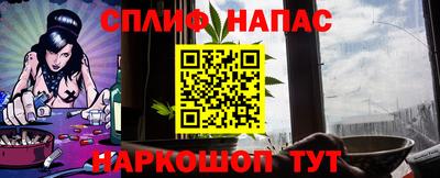 мдпв Моздок